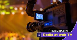 Web TV camerounaise