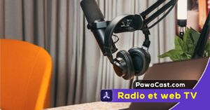 Média africain