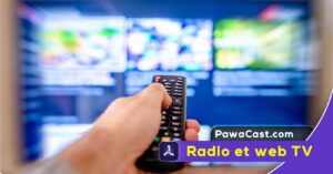 Télévision camerounaise